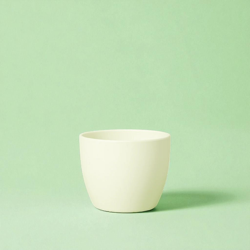 Dana Vanilla Matte Ceramic Pot - Forgetmenot