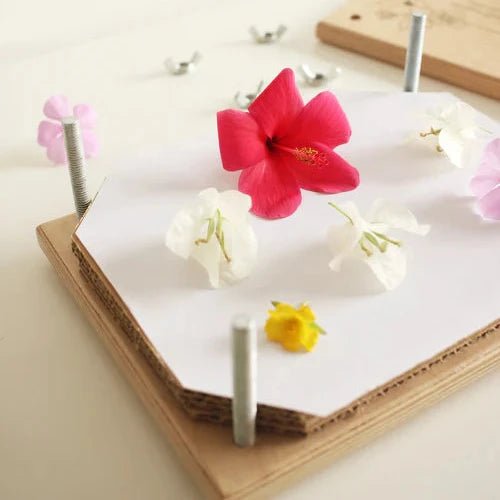 Flower Press - Forgetmenot