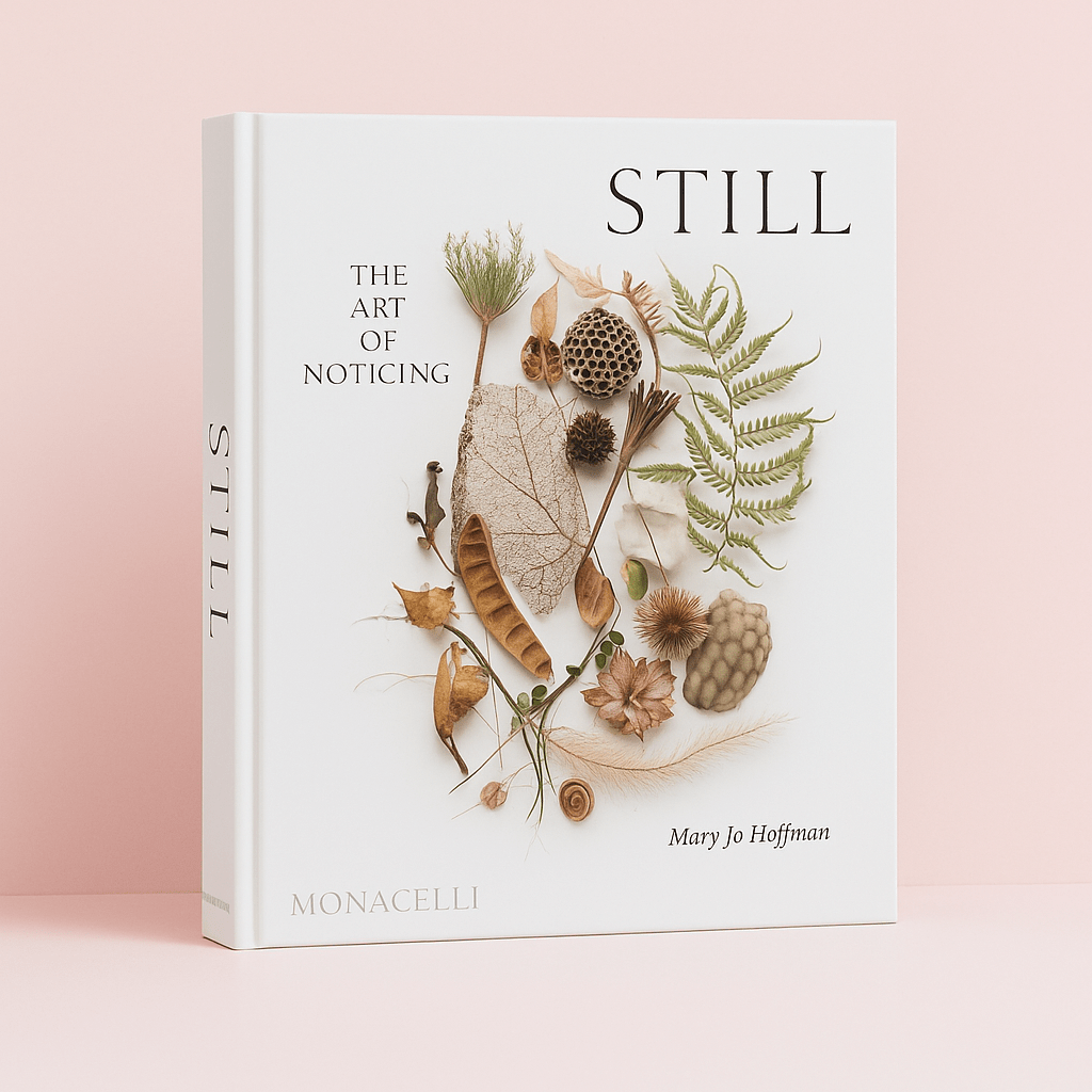 Still : The Art of Noticing - Forgetmenot