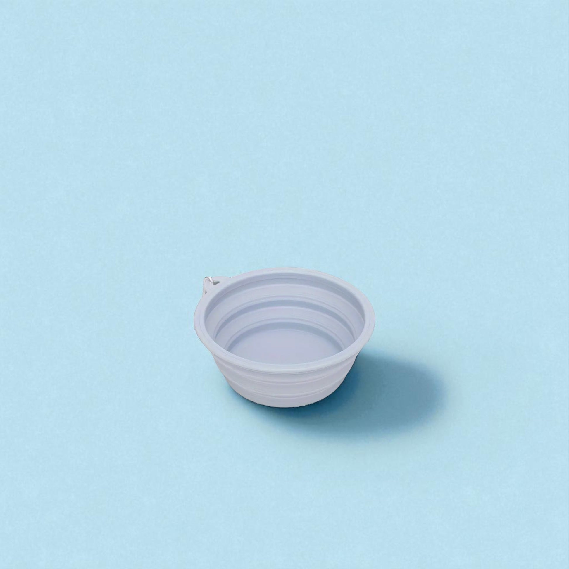 Foldable Dog Bowl - Forgetmenot