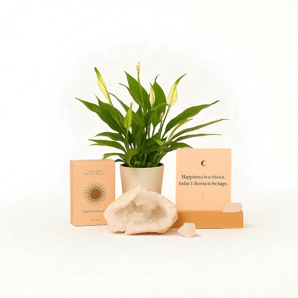 Healing Gift Box