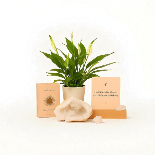 Healing Gift Box - Forgetmenot
