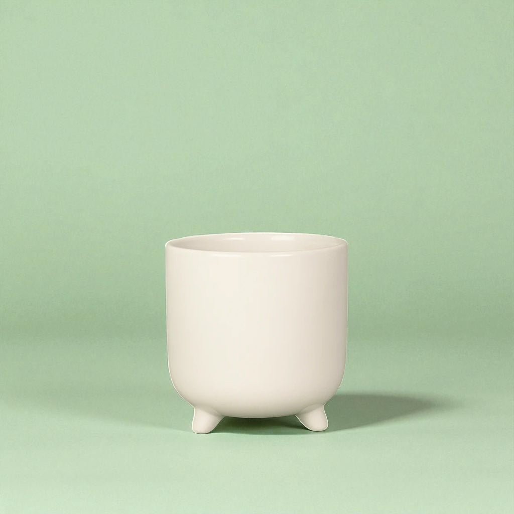 Indie White Ceramic Pot - Forgetmenot