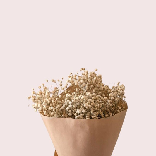 Preserved Baby's Breath (Gyp) - Forgetmenot