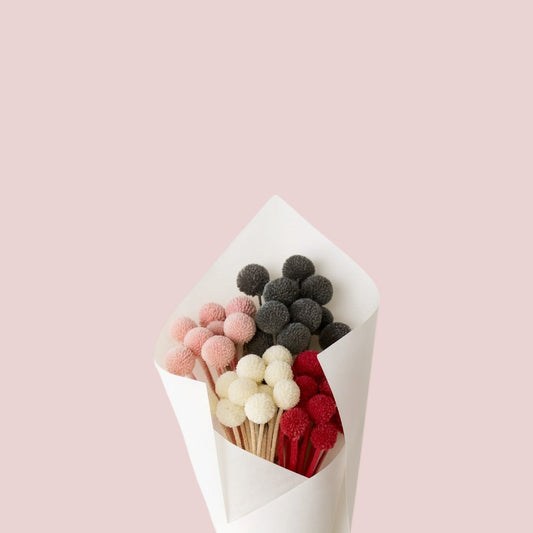 Preserved Craspedia - Forgetmenot