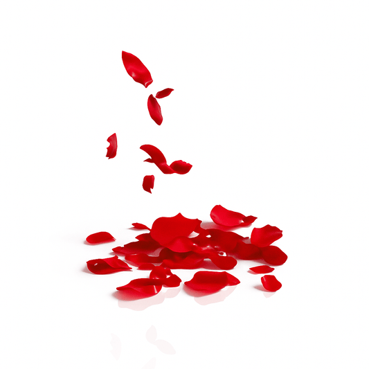 Romantic Rose petals - Forgetmenot